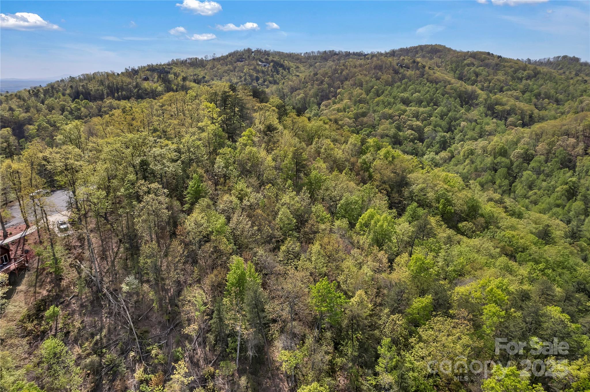 231 Brighton Drive Bostic NC 28018