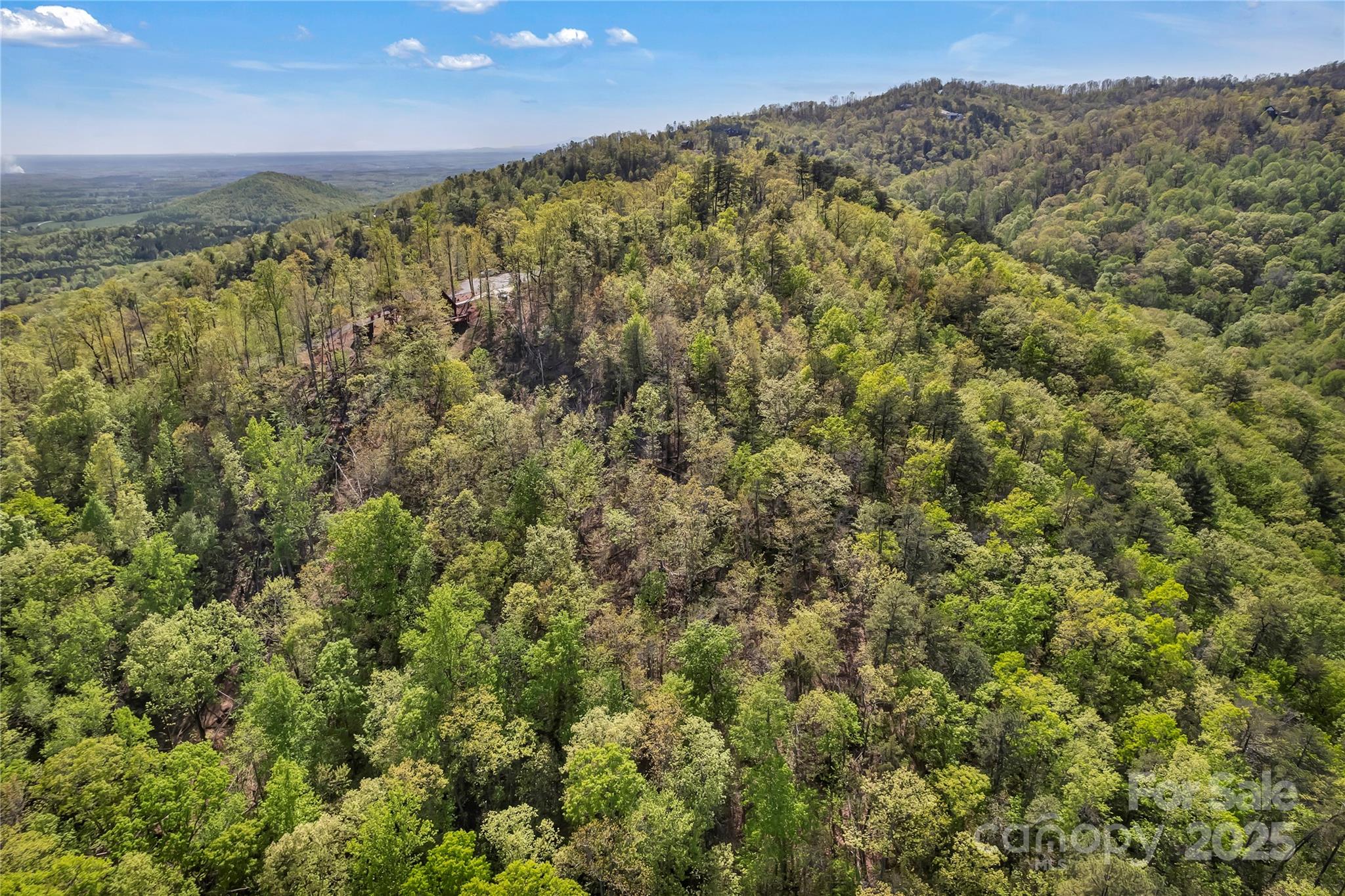 231 Brighton Drive Bostic NC 28018