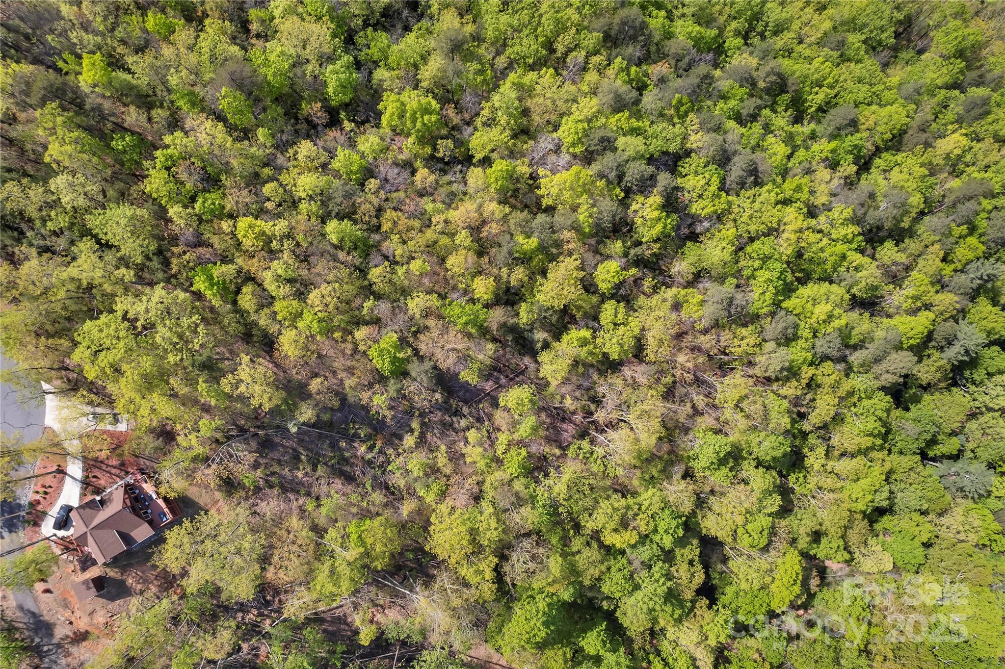 231 Brighton Drive Bostic NC 28018