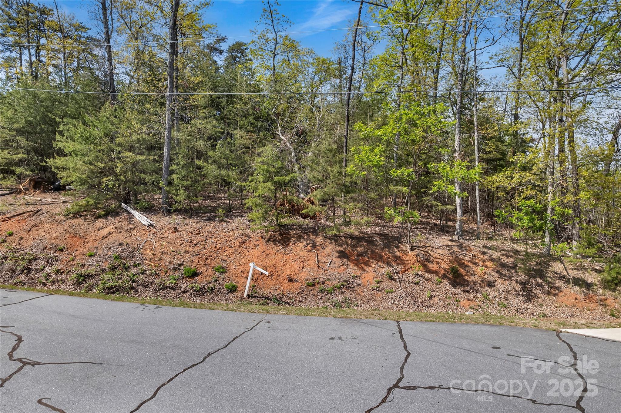 231 Brighton Drive Bostic NC 28018