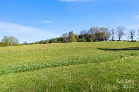 Tbd (Lot 29) Pond View Lane Sparta NC 28675