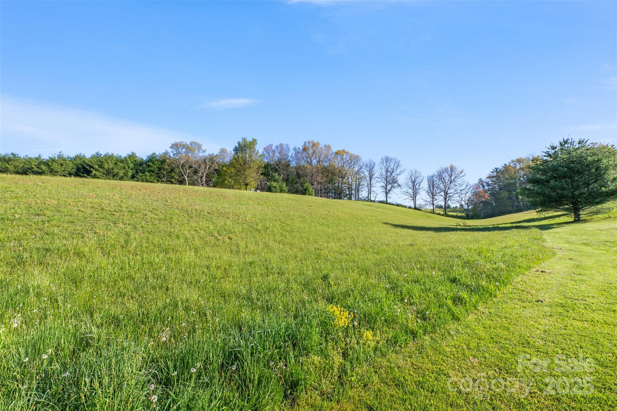 Tbd (Lot 29) Pond View Lane Sparta NC 28675
