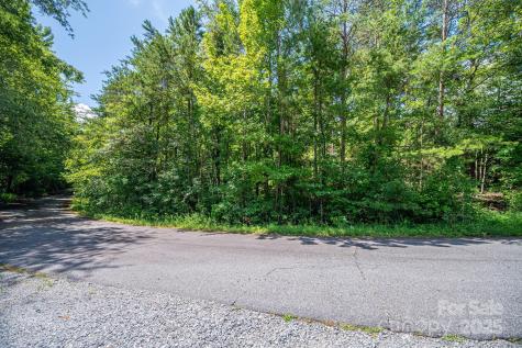 Lot 40 Line Drive Forest City NC 28043