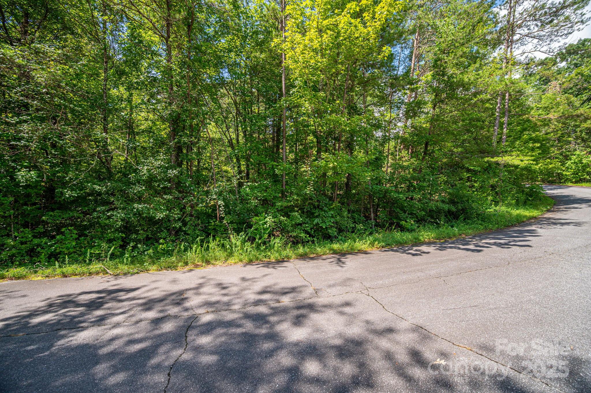 Lot 40 Line Drive Forest City NC 28043