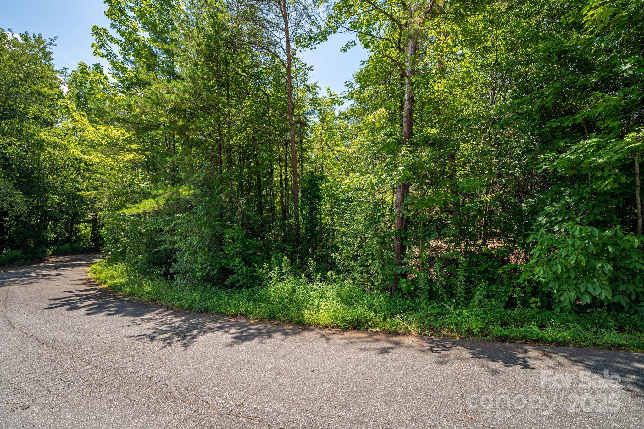 Lot 40 Line Drive Forest City NC 28043