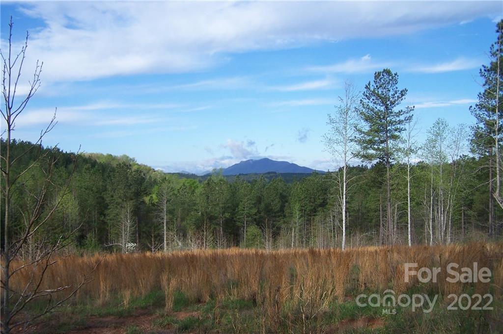 Tract 3 County Line Road Mill Spring NC 28756
