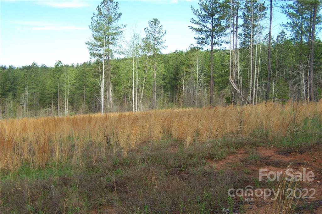 Tract 3 County Line Road Mill Spring NC 28756