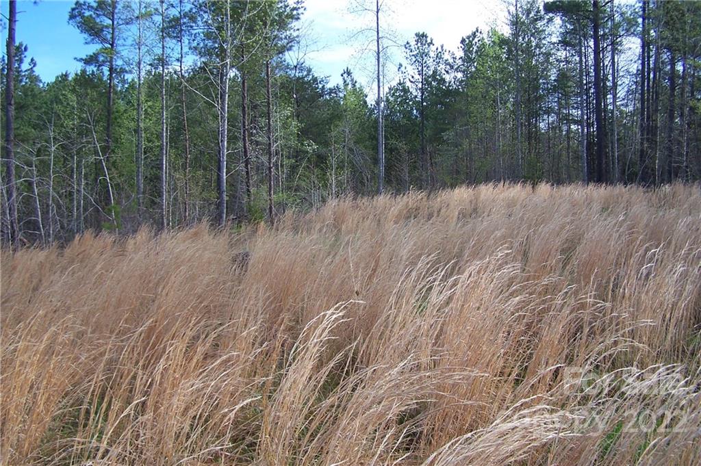 Tract 3 County Line Road Mill Spring NC 28756