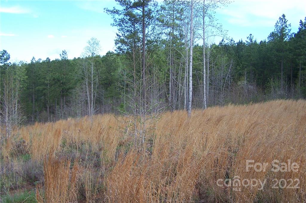 Tract 3 County Line Road Mill Spring NC 28756