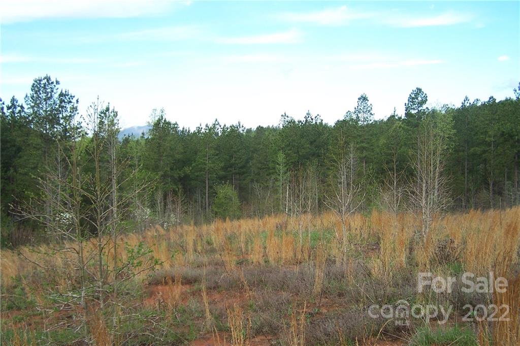 Tract 3 County Line Road Mill Spring NC 28756
