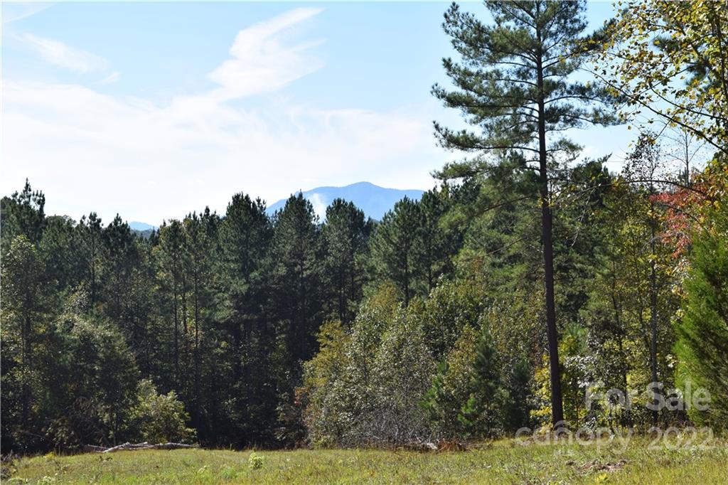 Tract 3 County Line Road Mill Spring NC 28756