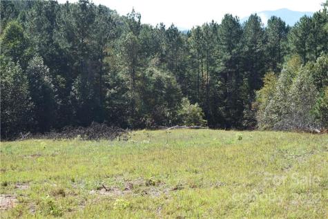Tract 3 County Line Road Mill Spring NC 28756