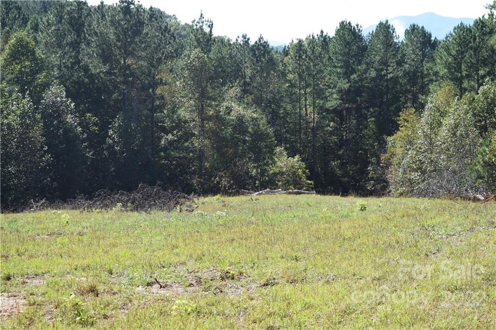 Tract 3 County Line Road Mill Spring NC 28756