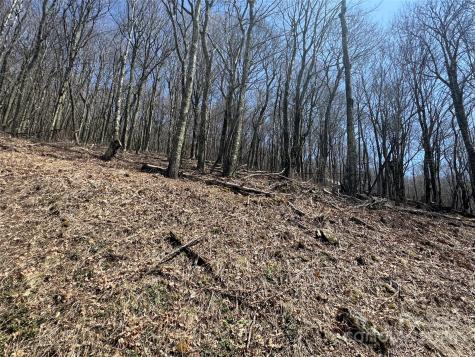 244 & 245 Grouse Thicket Lane Mars Hill NC 28754