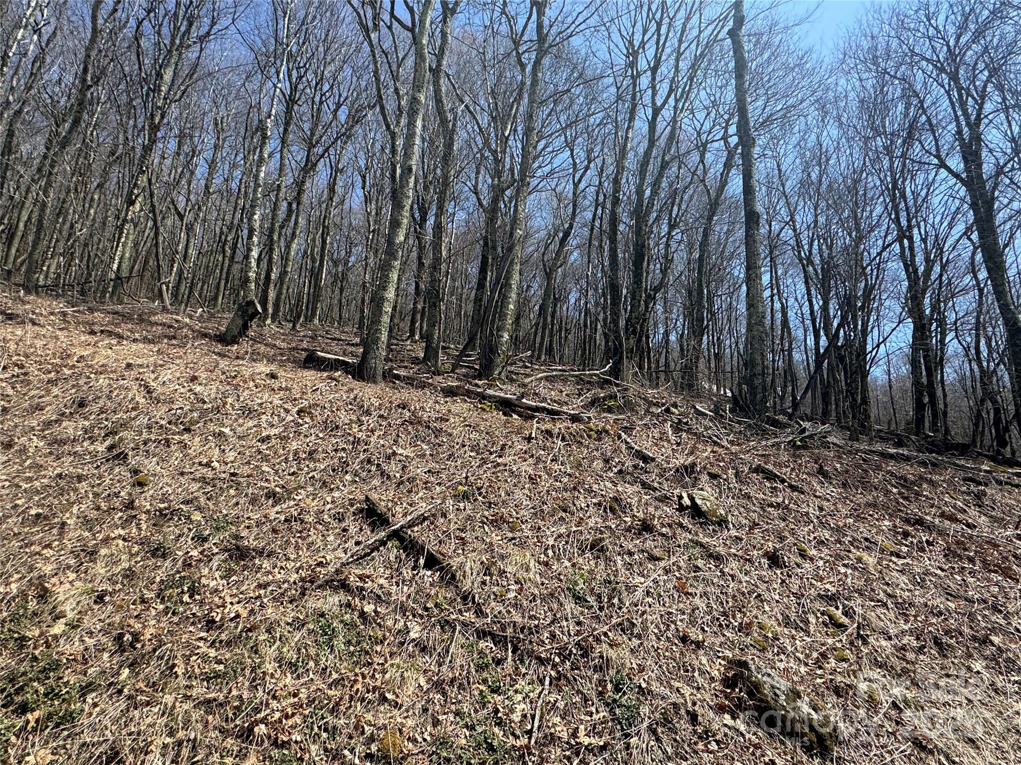 244 & 245 Grouse Thicket Lane Mars Hill NC 28754