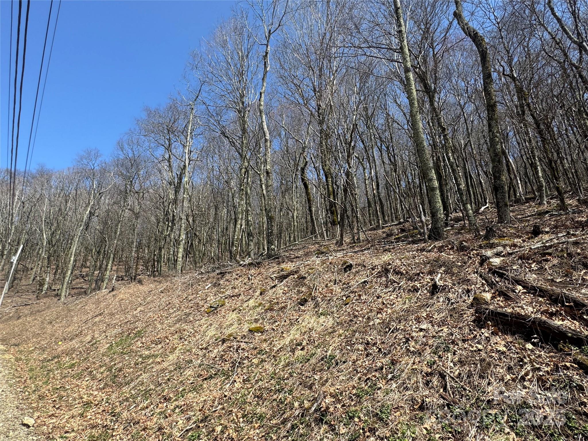 244 & 245 Grouse Thicket Lane Mars Hill NC 28754