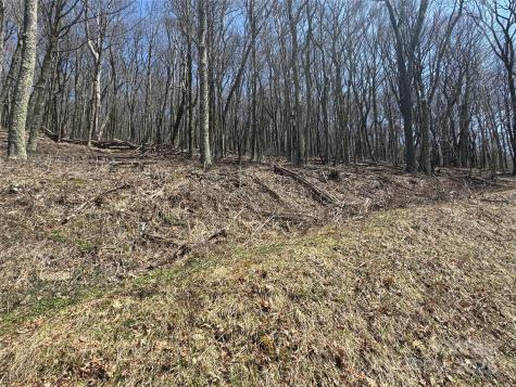 244 & 245 Grouse Thicket Lane Mars Hill NC 28754