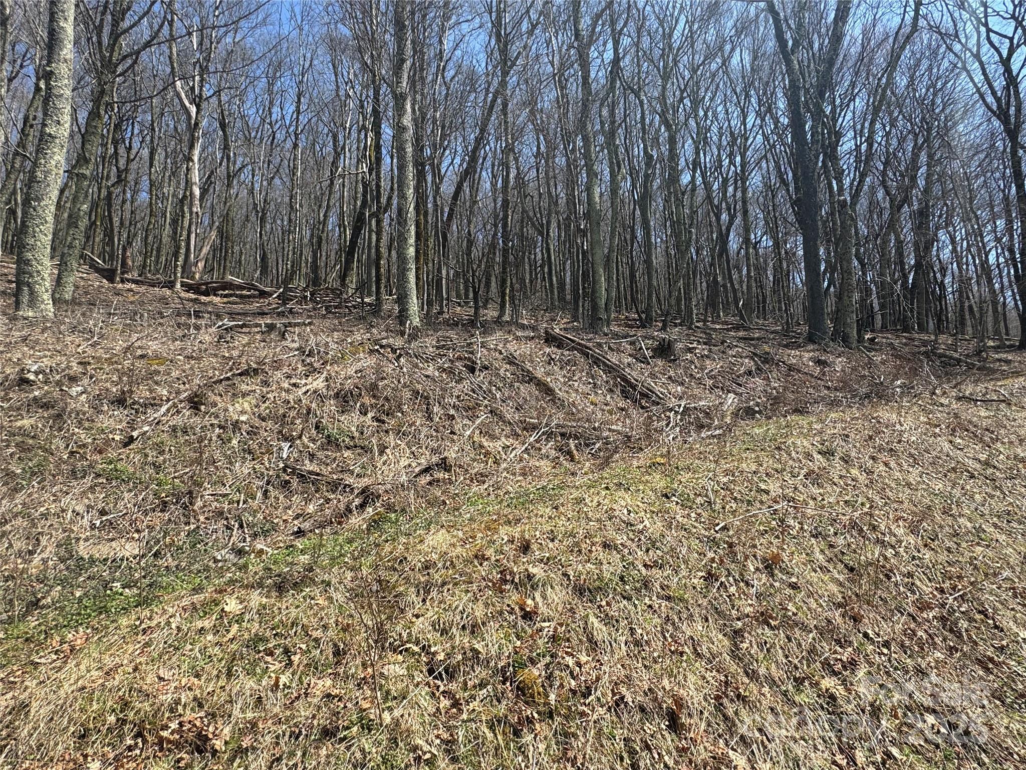 244 & 245 Grouse Thicket Lane Mars Hill NC 28754