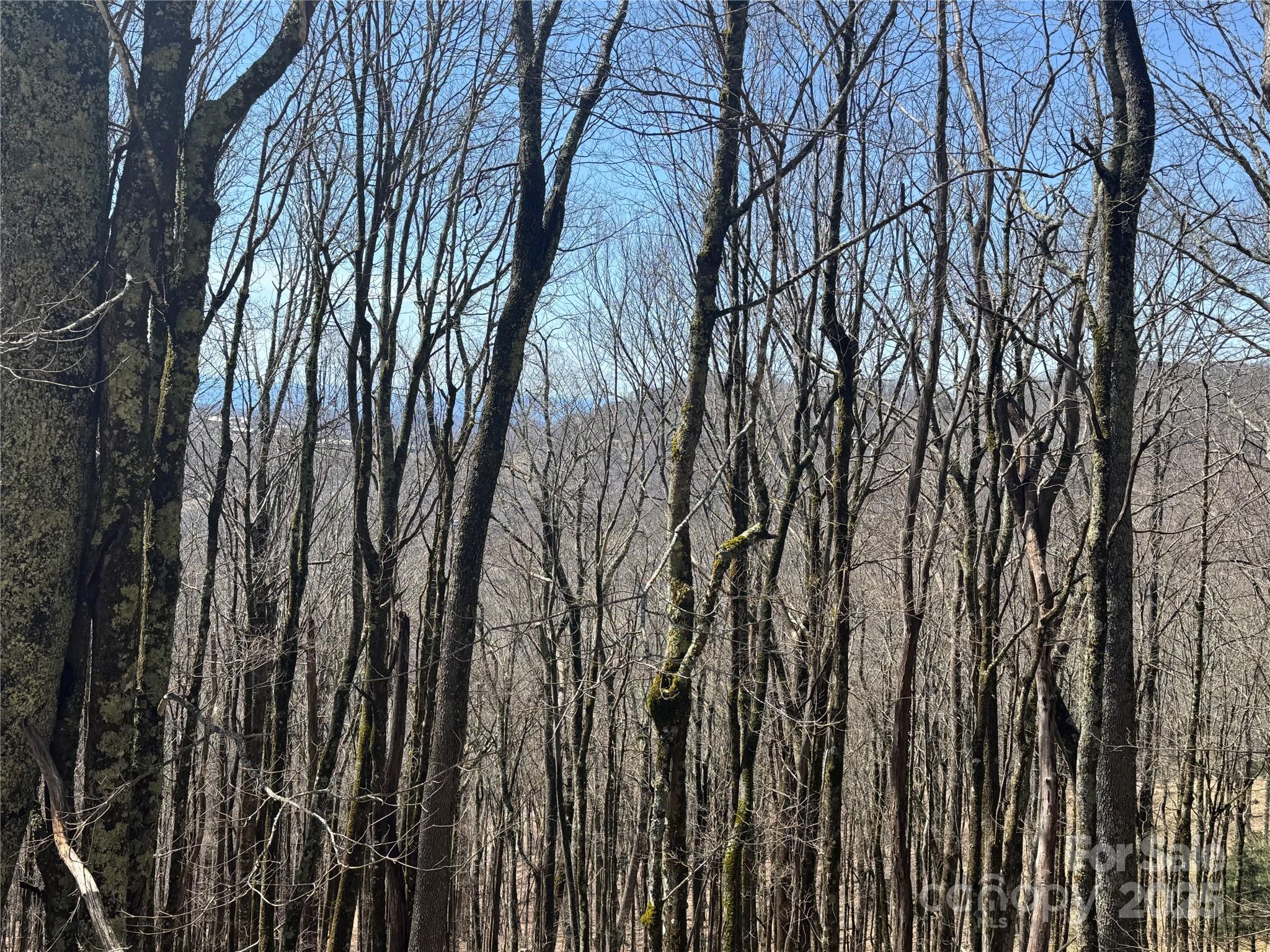 244 & 245 Grouse Thicket Lane Mars Hill NC 28754