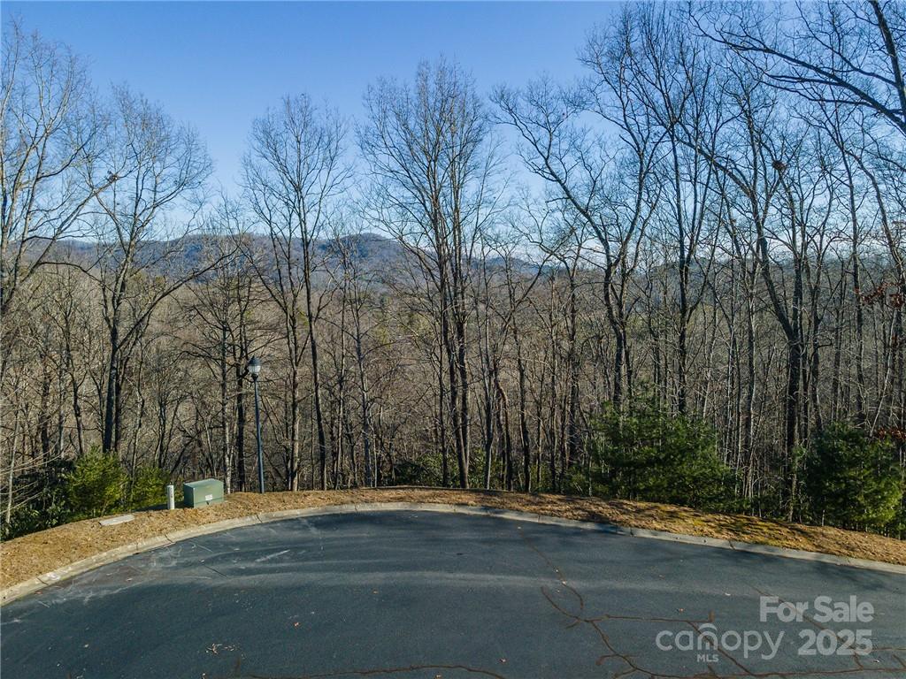 80 Buckhead Trail Horse Shoe NC 28742