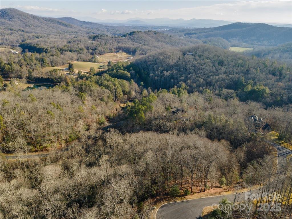 80 Buckhead Trail Horse Shoe NC 28742