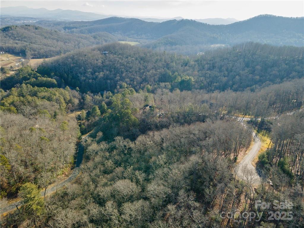 80 Buckhead Trail Horse Shoe NC 28742