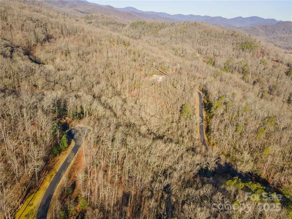 80 Buckhead Trail Horse Shoe NC 28742