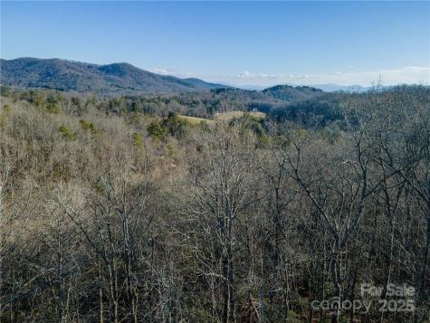 80 Buckhead Trail Horse Shoe NC 28742