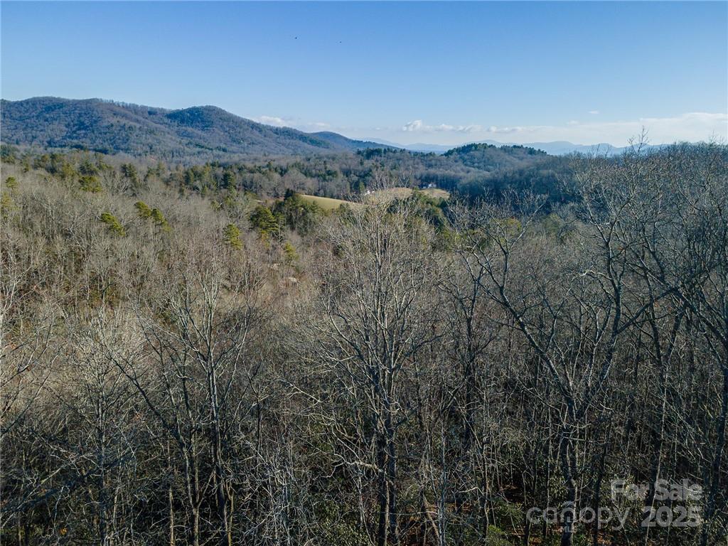 80 Buckhead Trail Horse Shoe NC 28742