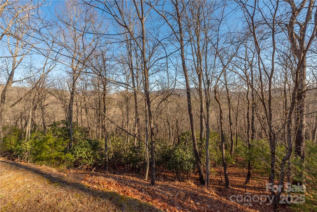 80 Buckhead Trail Horse Shoe NC 28742