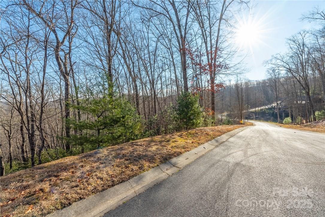 80 Buckhead Trail Horse Shoe NC 28742