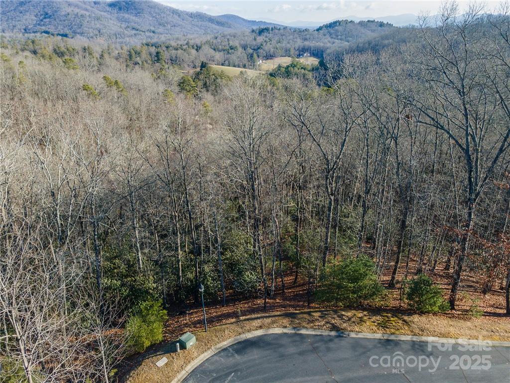 80 Buckhead Trail Horse Shoe NC 28742