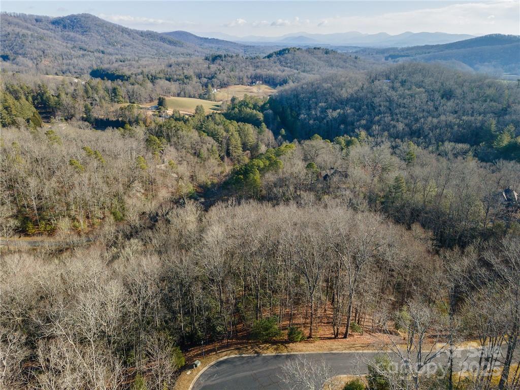 80 Buckhead Trail Horse Shoe NC 28742