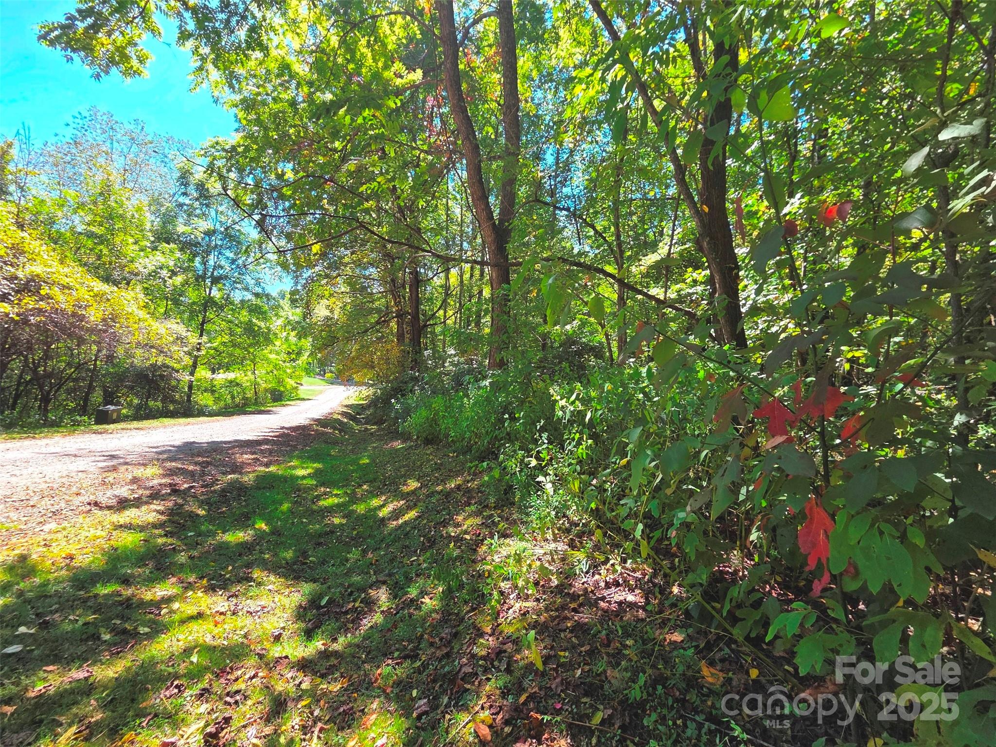 123 Live Oak Loop Waynesville NC 28785