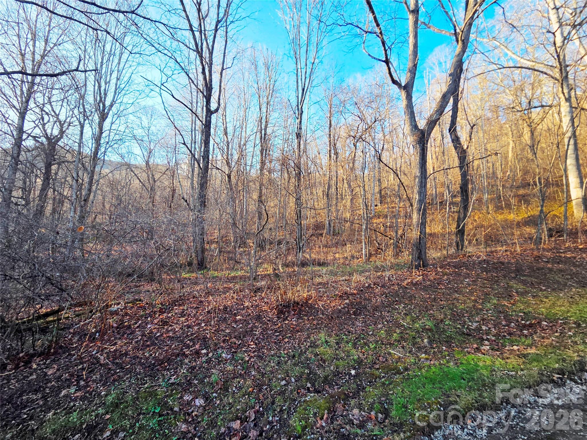 123 Live Oak Loop Waynesville NC 28785