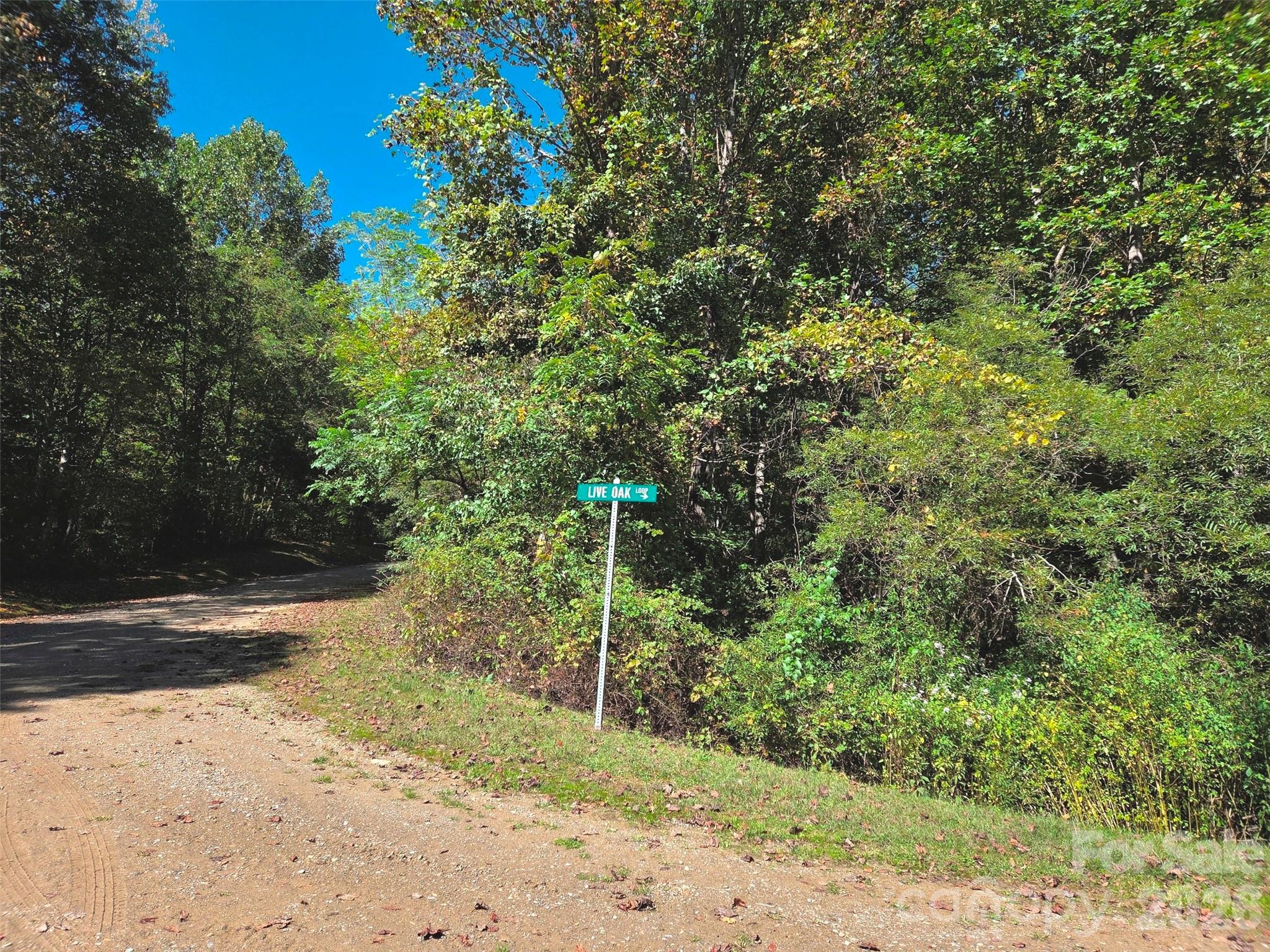 123 Live Oak Loop Waynesville NC 28785