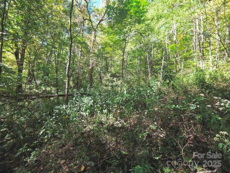 123 Live Oak Loop Waynesville NC 28785