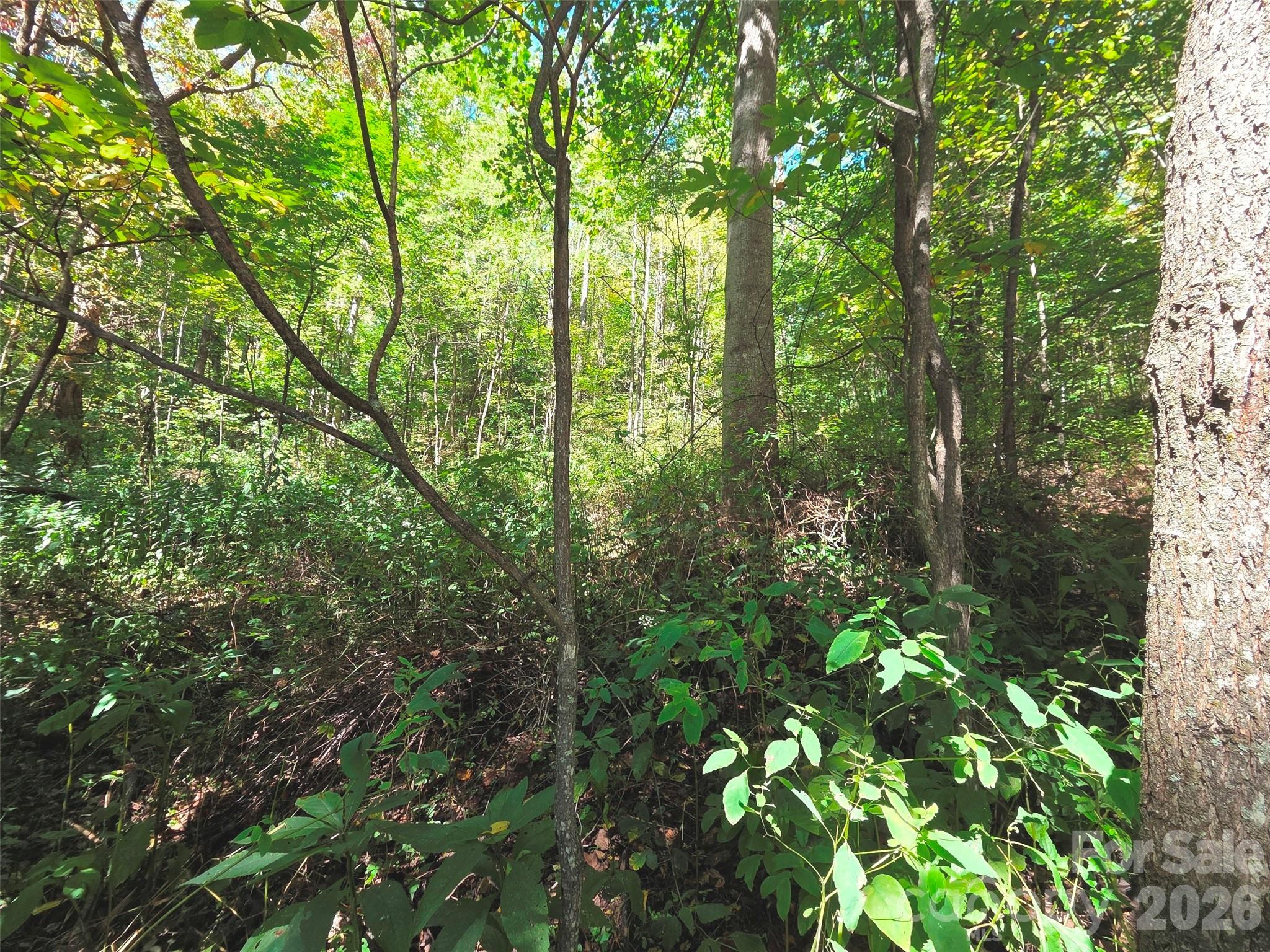 123 Live Oak Loop Waynesville NC 28785