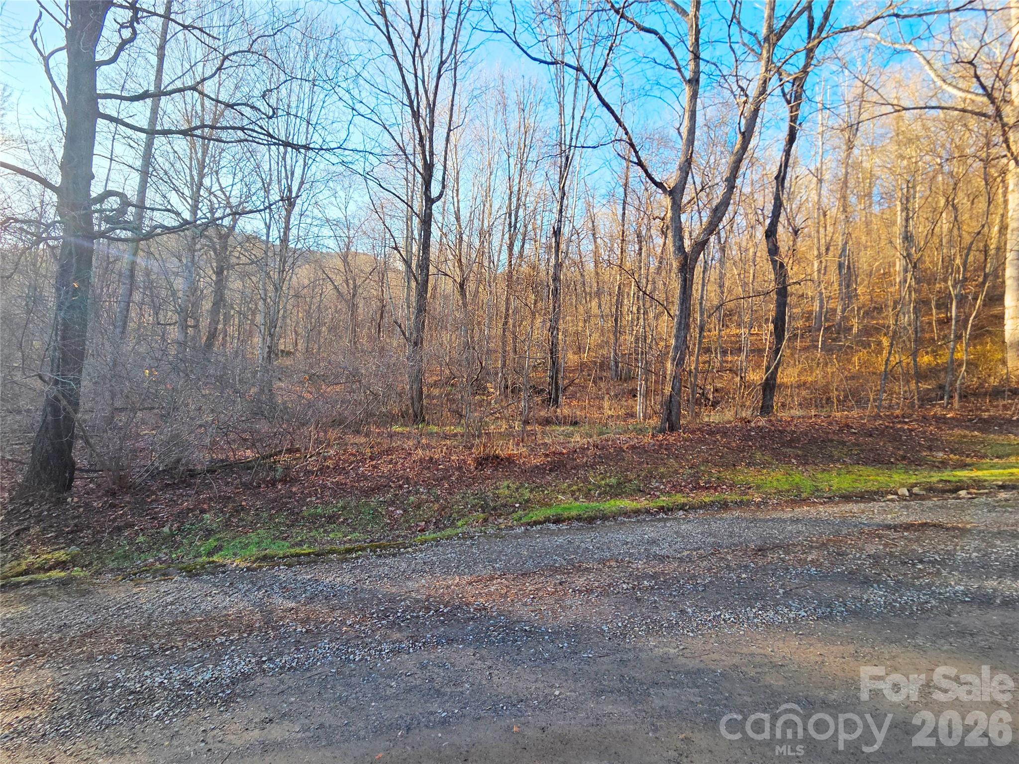 123 Live Oak Loop Waynesville NC 28785