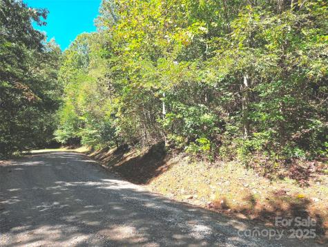 123 Live Oak Loop Waynesville NC 28785