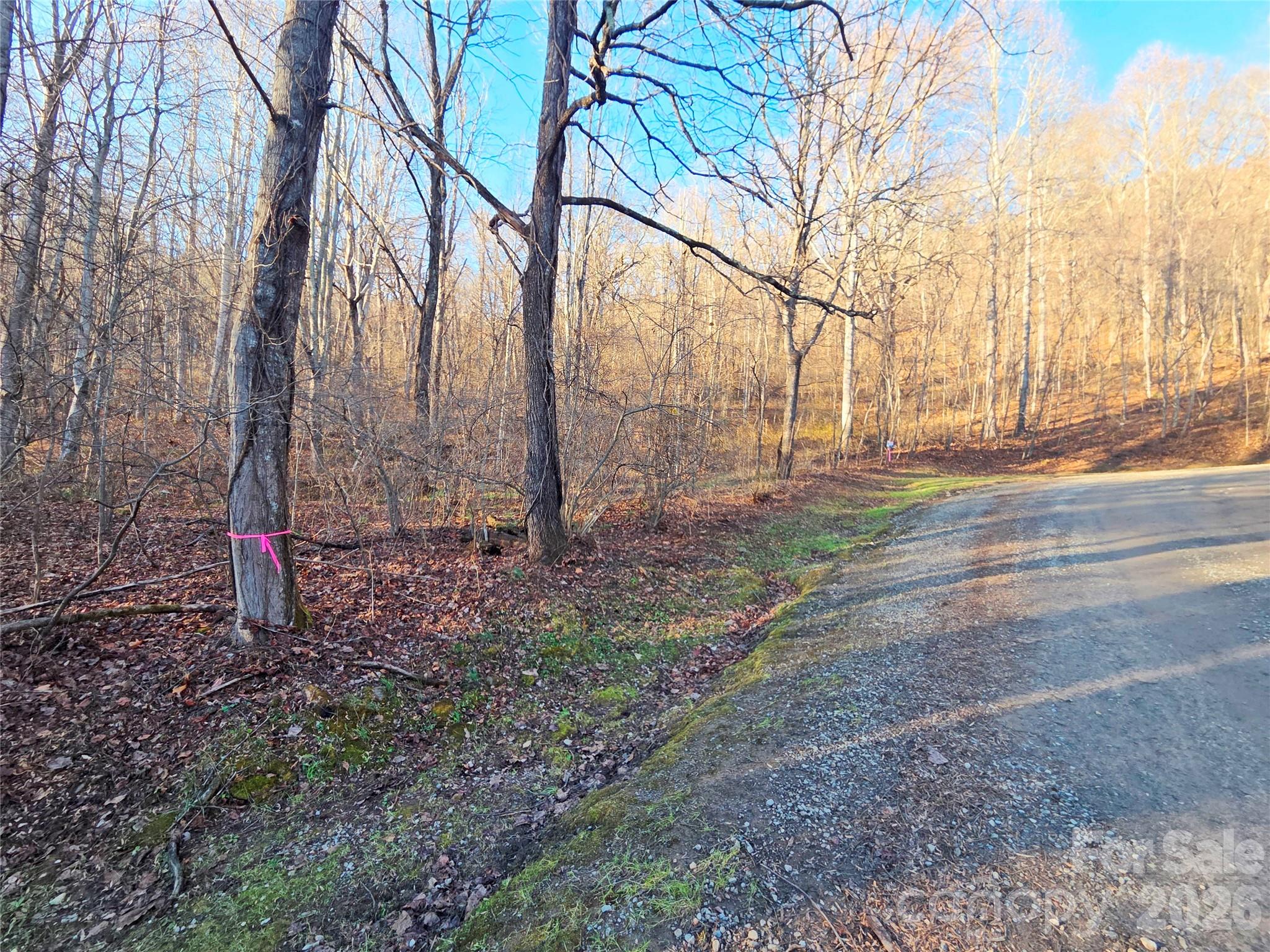 123 Live Oak Loop Waynesville NC 28785