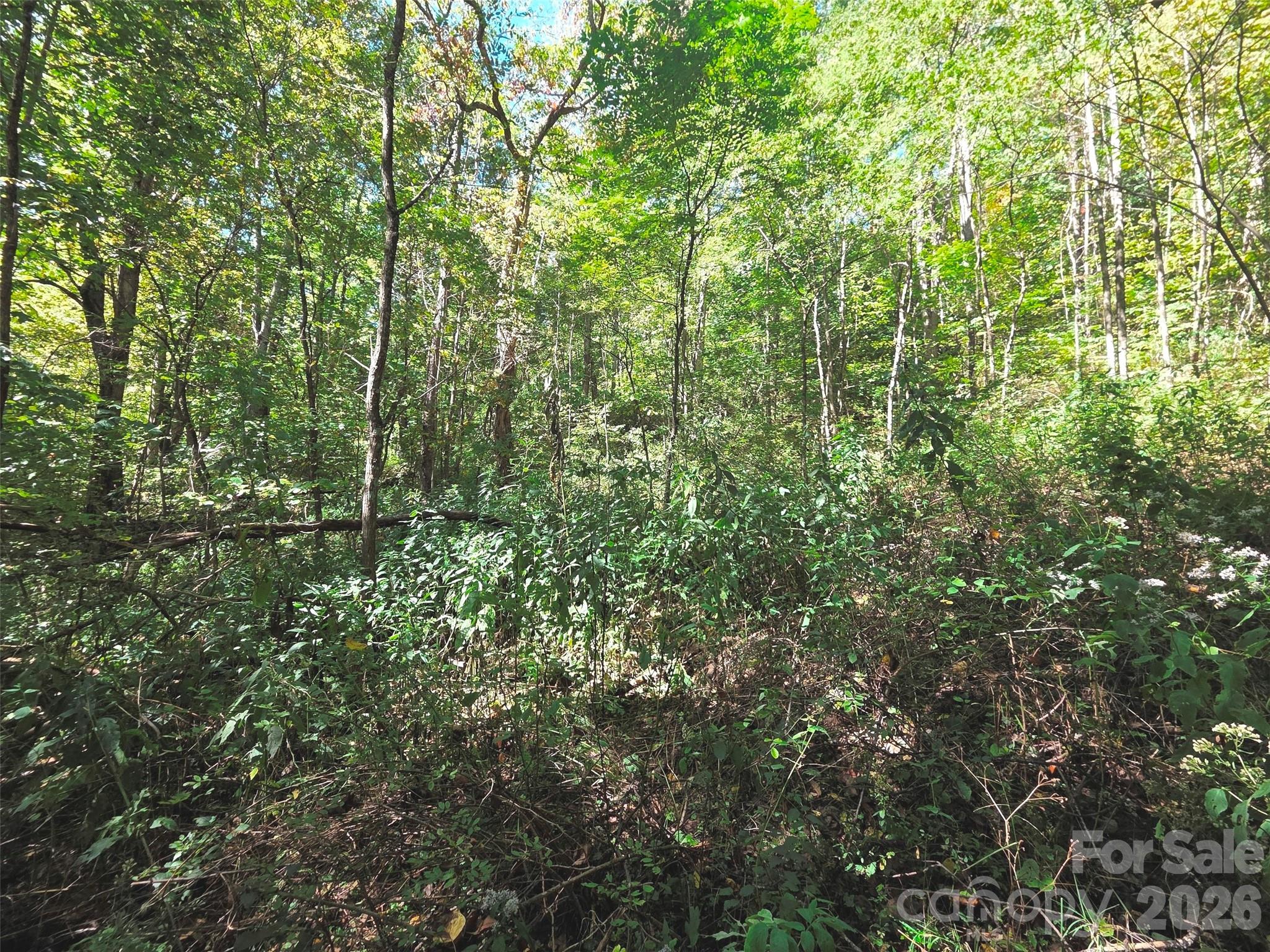 123 Live Oak Loop Waynesville NC 28785