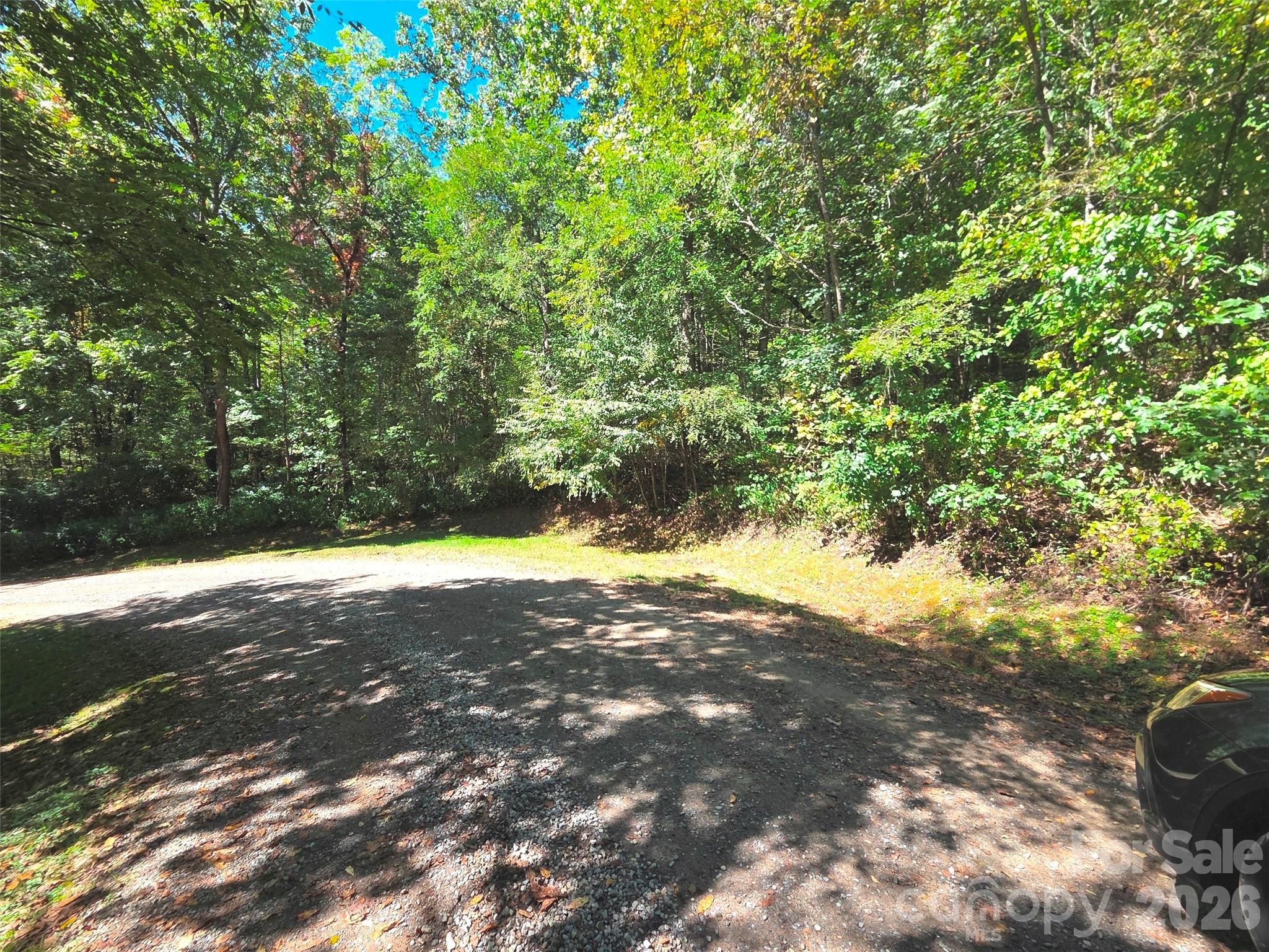 123 Live Oak Loop Waynesville NC 28785