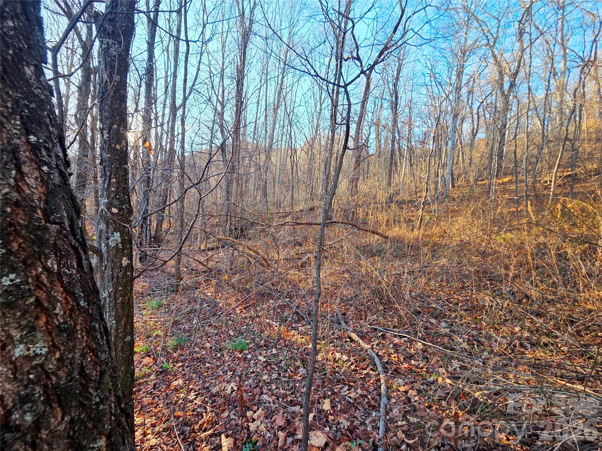 123 Live Oak Loop Waynesville NC 28785