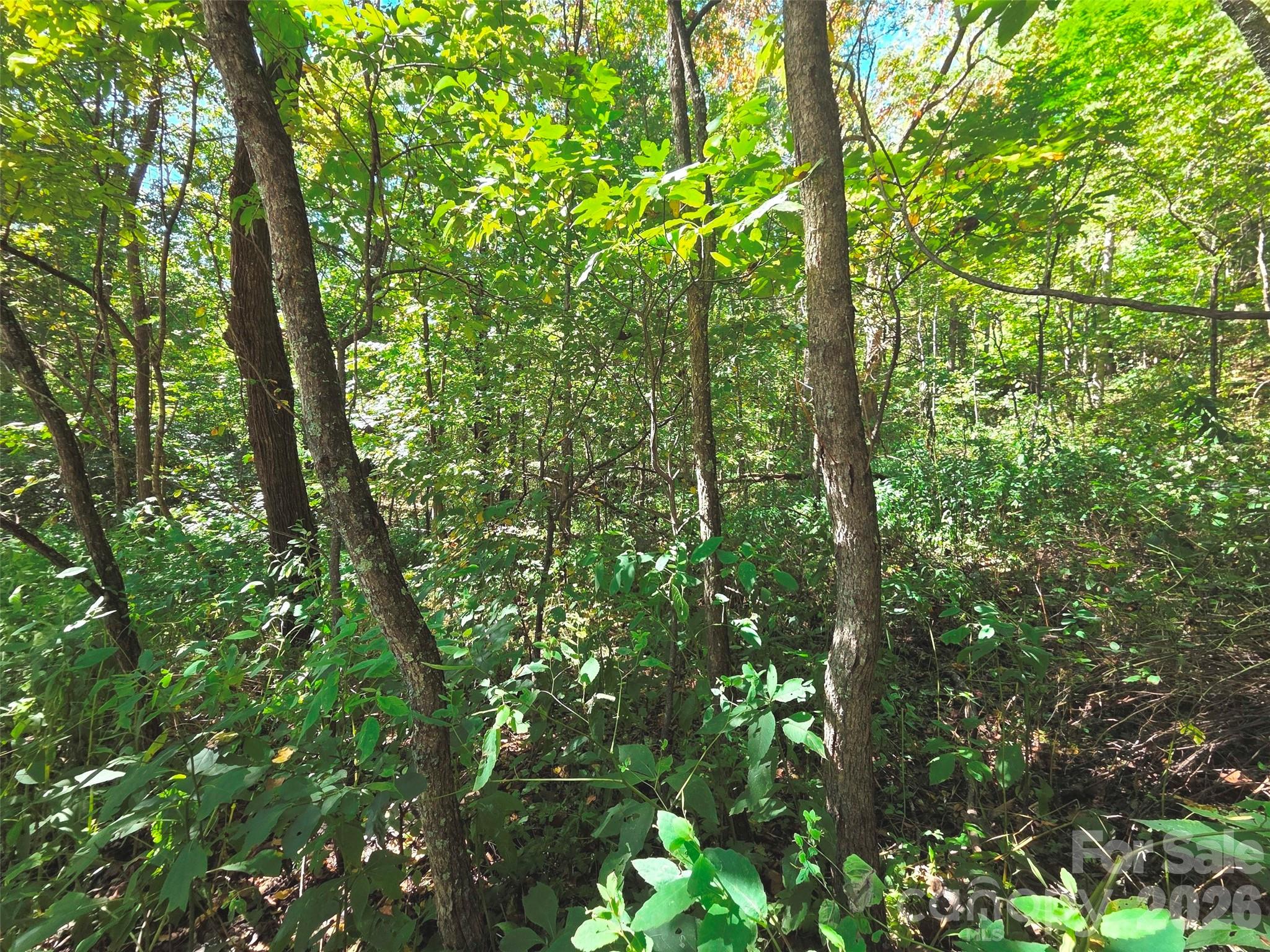 123 Live Oak Loop Waynesville NC 28785