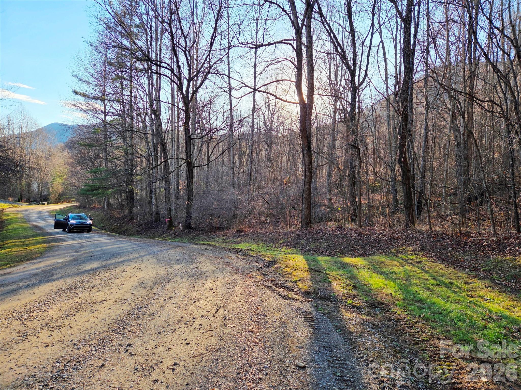 123 Live Oak Loop Waynesville NC 28785
