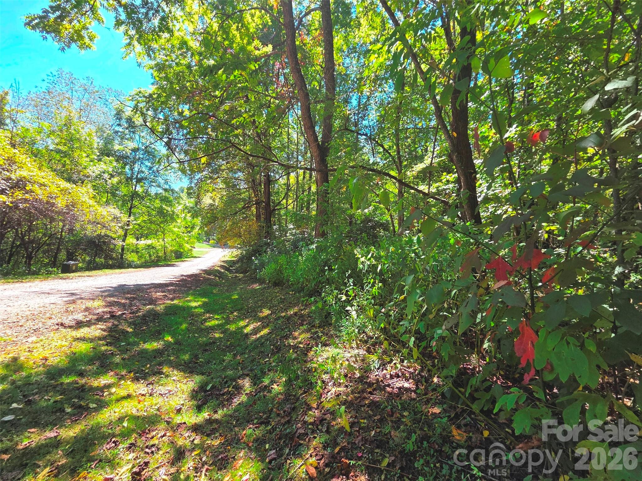 123 Live Oak Loop Waynesville NC 28785