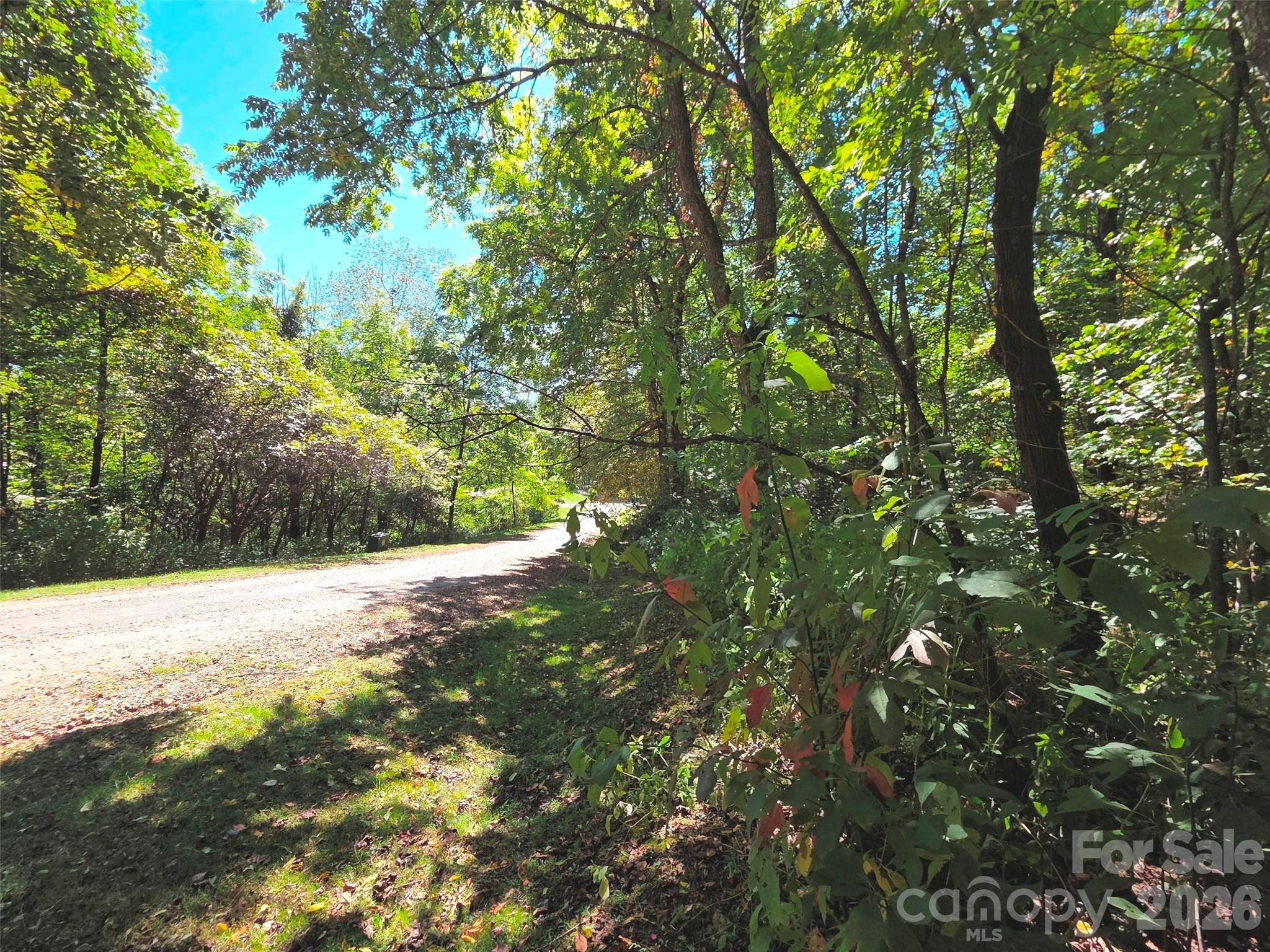123 Live Oak Loop Waynesville NC 28785