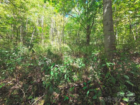 123 Live Oak Loop Waynesville NC 28785