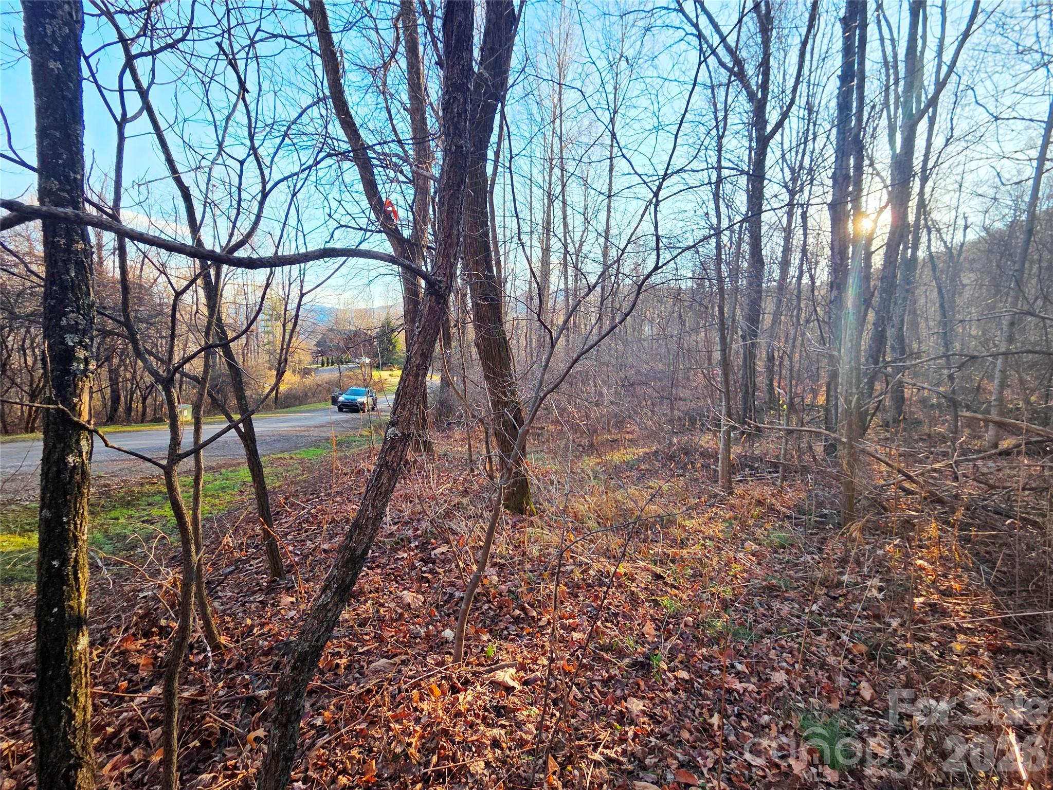 123 Live Oak Loop Waynesville NC 28785